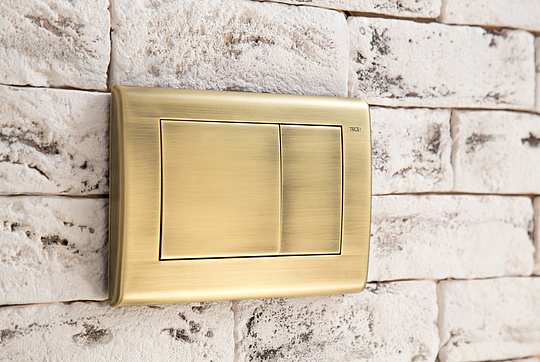 Tece Planus Кнопка смыва для унитаза, металл, цвет: состаренная латунь 9240366