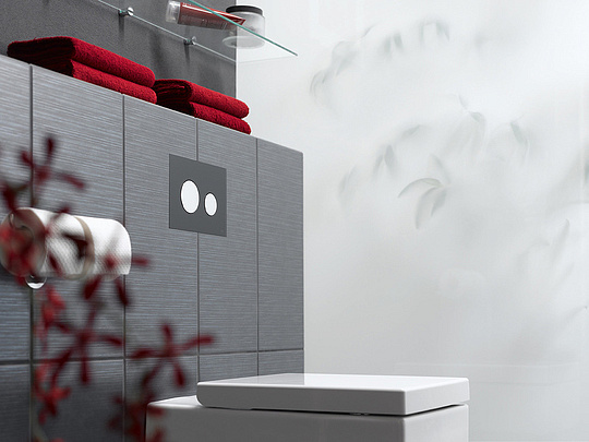 Tece Loop Кнопка смыва для унитаза, стекло, цвет: черный/хром глянцевый 9240656