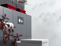 Tece Loop Кнопка смыва для унитаза, стекло, цвет: черный/хром глянцевый 9240656