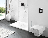Grohe Skate Cosmopolitan Кнопка смыва для унитаза, 2 режима, стекло, цвет: черный 38845KS0