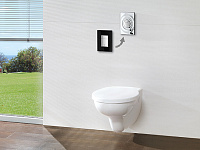 Grohe Skate Cosmopolitan Кнопка смыва для унитаза, 2 режима, стекло, цвет: черный 38845KS0