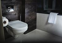 Grohe Skate Air Кнопка смыва для унитаза, 2 режима, пластик, цвет: матовый хром 38506P00