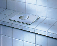 Grohe Skate Кнопка смыва для унитаза, металл, цвет: нержавеющая сталь 38672SD0