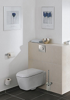 Grohe Skate Air Кнопка смыва для унитаза, 2 режима, пластик, цвет: хром 38506000