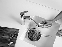 Grohe Eurodisc Cosmopolitan Смеситель для кухни, с выдвижным изливом, цвет: хром 32257002