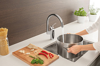 Grohe Eurostyle Cosmopolitan Смеситель для кухни, цвет: хром 30221002
