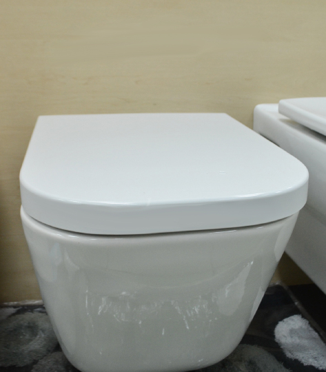 Roca Gap Чаша подвесного унитаза 35х54 см, без крышки, цвет: белый глянцевый 346477000