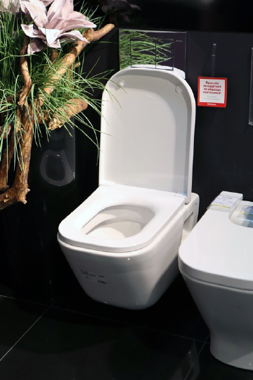 Roca Gap Чаша подвесного унитаза 35х54 см, без крышки, цвет: белый глянцевый 346477000