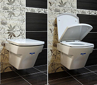 Roca Hall Чаша подвесного унитаза 35,5х50 см, без крышки, цвет: белый глянцевый 346627000