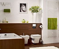 Roca Hall Чаша подвесного унитаза 35,5х50 см, без крышки, цвет: белый глянцевый 346627000