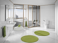 Roca Dama-N Чаша напольного унитаза 36х66 см, без крышки, с установ. комплектом, цвет: белый глянец 34278W000