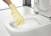 Roca Gap Чаша подвесного унитаза 34х54 см, безободковый, без крышки, цвет: белый глянцевый 34647L000