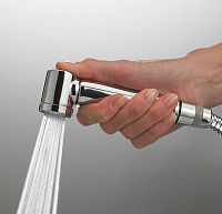 Bossini Alexa-Brass Ручной душ, 1 вид струи, цвет: chrome B00427.030