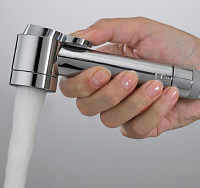 Bossini Paloma Гигиенический душ, 1 вид струи, цвет: chrome B01443.030