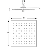 Cisal Shower Верхний душ 30 см, 1 вид струи, без кронштейна, цвет: chrome DS01630021
