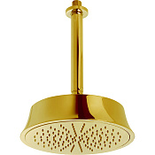 Cisal Shower Верхний душ d22 см, 1 вид струи, кронштейн потолочный 27 см, цвет: 24k gold DS01328024