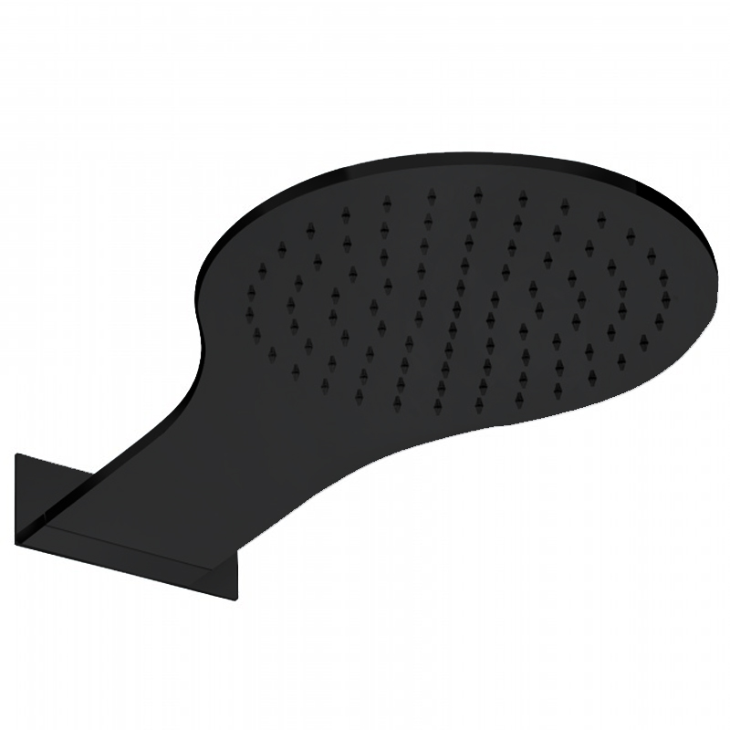 Bongio O'Clock Green Душевая головка, цвет черный матовый 14889NE00