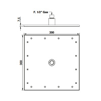 Bongio Soffioni Душевая головка 30х30 см, цвет хром 00879CR00