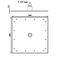 Bongio Tattoo Душевая головка 00879TT10