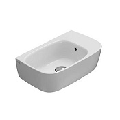 Globo Genesis Раковина подвесная 50x30 см, с креплением и переливом, без д/к, цвет: белый глянцевый GE047BI