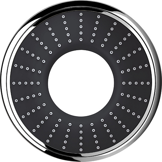 Grohe Rainshower Icon Ручной душ, 2 вида струи, цвет: черный 27639000