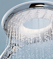 Grohe Rainshower Icon Ручной душ, 2 вида струи, цвет: хром 27276000