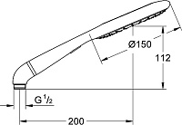 Grohe Rainshower Icon Ручной душ, 2 вида струи, цвет: хром 27276000