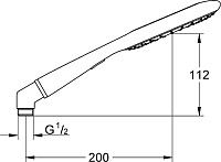 Grohe Rainshower Icon Ручной душ, 2 вида струи, цвет: оранжевый 27444000