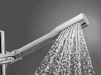 Grohe Euphoria Cosmopolitan Ручной душ, 1 вид струи, цвет: хром 27400000