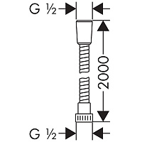 Hansgrohe Metaflex Душевой шланг 200 см, цвет: хром 28264000