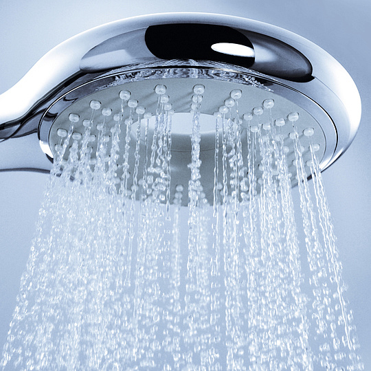 Grohe Rainshower Icon 100 Ручной душ, 1 вид струи, цвет: хром 27375000
