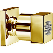 Cisal Shower Душевая форсунка настенная 4,2x5,2 см, цвет: 24k gold DS01508024