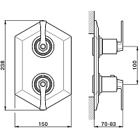 Cisal Cherie Смеситель термостат. для душа встраиваемый на 2 потребителя, цвет:rose gold/night black CF0191007E