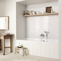 Hansgrohe Raindance Classic Ручной душ 3 вида струи, цвет: хром/золото 28548090