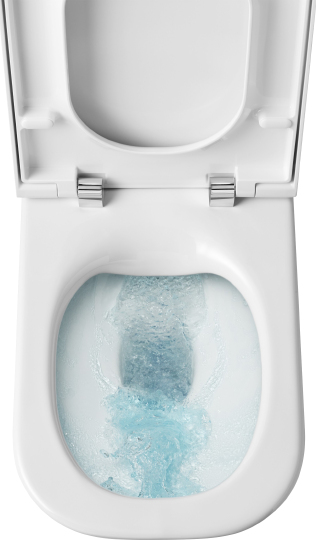 Roca Gap Clean Rim Чаша напольного унитаза 35х60 см, безободковый, цвет: белый глянцевый 34273700H