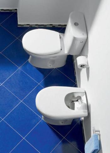 Roca Victoria Крышка-сиденье для унитаза, без микролифта, крепление хром, цвет: белый глянцевый ZRU8013900