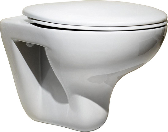 Roca Mateo Крышка-сиденье для унитаза, с микролифтом, цвет: белый глянцевый ZRU9302822