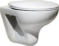 Roca Mateo Крышка-сиденье для унитаза, с микролифтом, цвет: белый глянцевый ZRU9302822