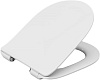 Roca Leon Крышка-сиденье для унитаза, с микролифтом, крепление хром, цвет: белый глянцевый ZRU9302943
