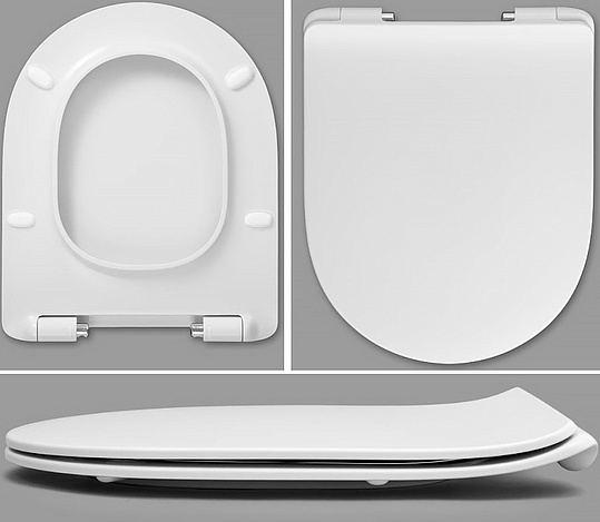 Roca Leon Крышка-сиденье для унитаза, с микролифтом, крепление хром, цвет: белый глянцевый ZRU9302943