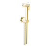 Stella Eccelsa Гигиенический душ 309AT, цвет золото 24К EC 03124 AU00