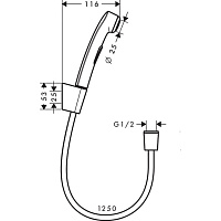 Hansgrohe Гигиенический душ, держатель, шланг 125 см устойчив к давлению, цвет: хром 32129000