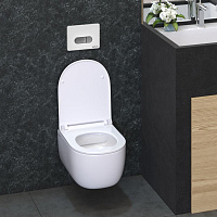 Berges Novum Инсталляция для унитаза панель смыва, цвет белый D7 040237