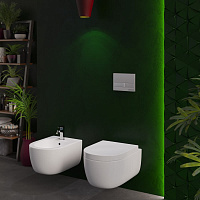 Berges Ego Подвесной унитаз Rimless 49х32,5h, с сиденьем, цвет: белый 082122