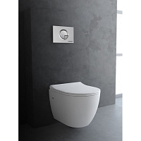 Berges Okus Подвесной унитаз 48х33,5h, с сиденьем, цвет: белый 082127