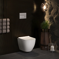 Berges Okus Подвесной унитаз 48х33,5h, с сиденьем, цвет: белый 082127