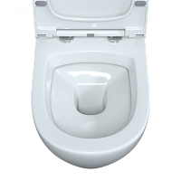 Berges Okus Подвесной унитаз 48х33,5h, с сиденьем, цвет: белый 082127