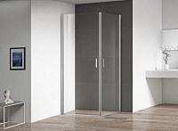 Душевой уголок RGW Leipzig LE-30 1000x1000x1950 профиль хром 06123000-11