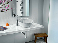 Roca Bol Накладная 420x420x230 mm керамическая раковина, цвет белый 327876000