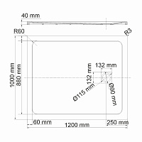 Wasserkraft Neime Душевой поддон 120х100х4h 19T10